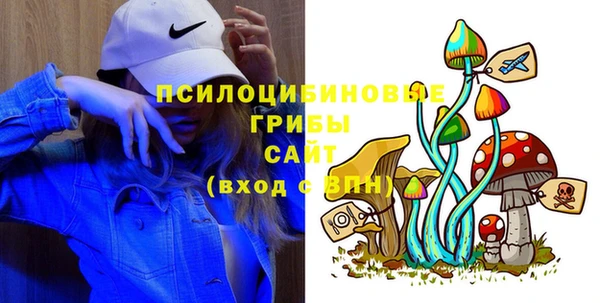 амф Абинск